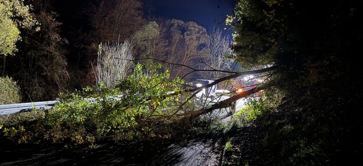 ### Einsatz 20/2025 ###