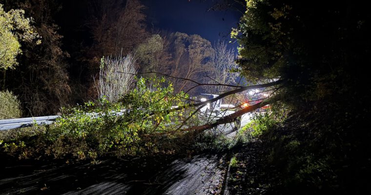 ### Einsatz 20/2025 ###