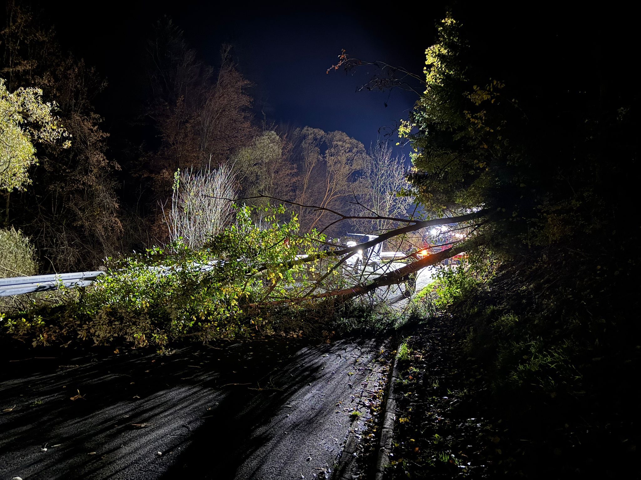 ### Einsatz 20/2025 ###