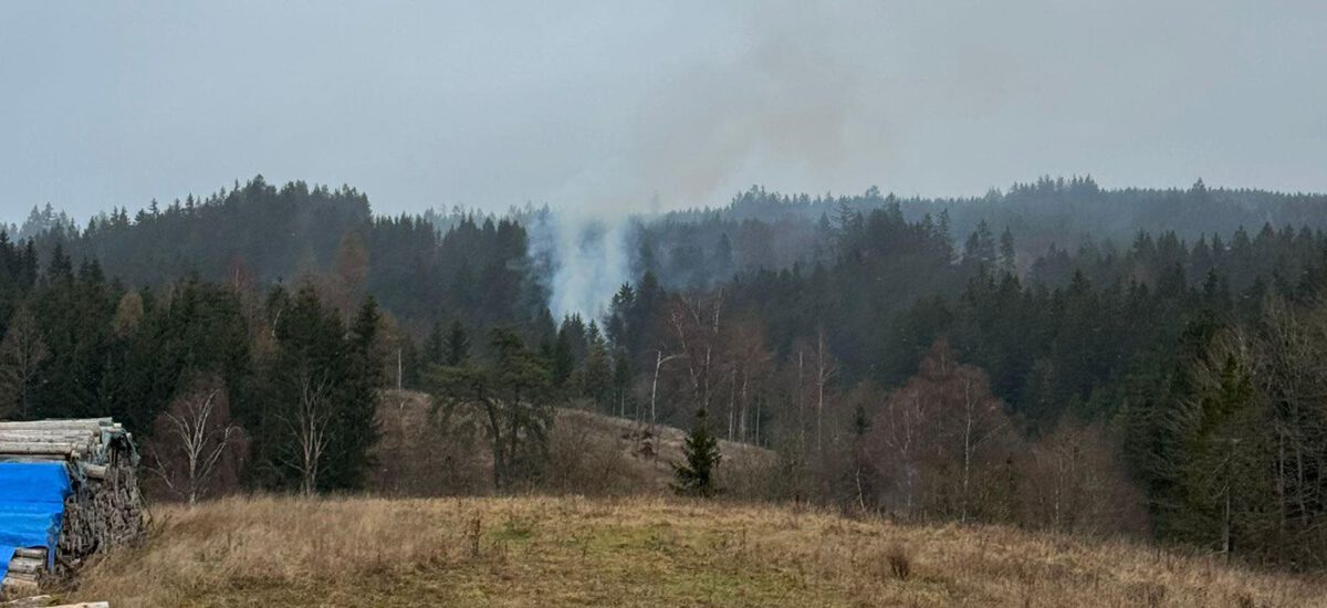 ### Einsatz 24/2025 ###