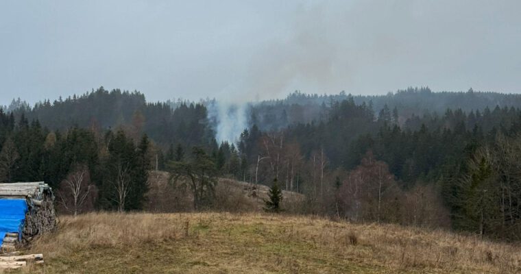 ### Einsatz 24/2025 ###