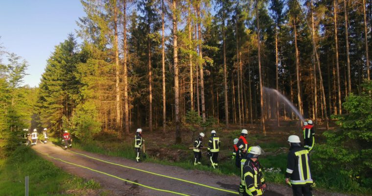 Waldbrandübung