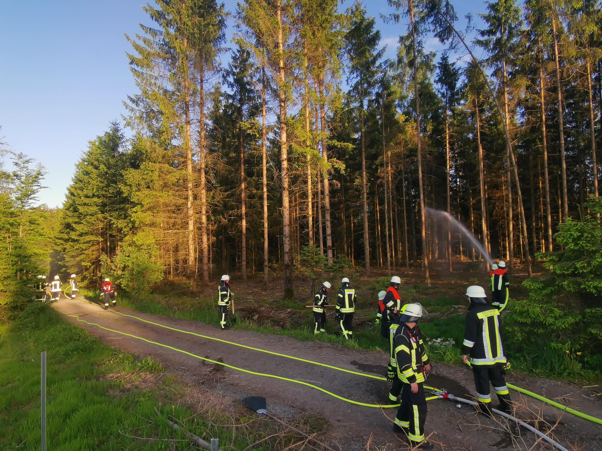 Waldbrandübung