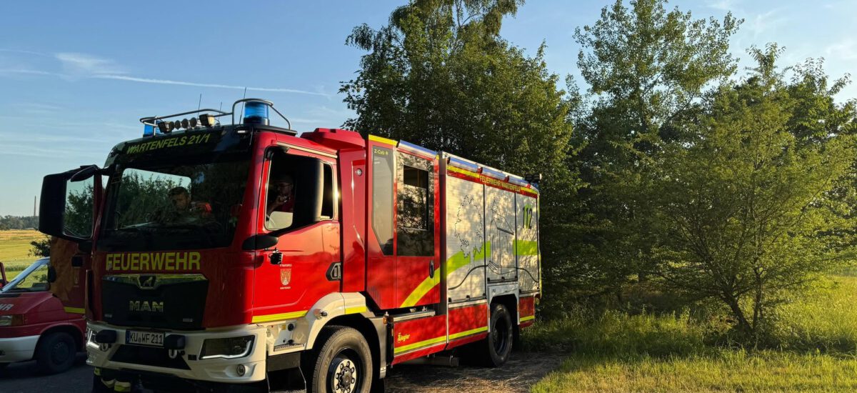 ### Einsatz 08/2026 ###