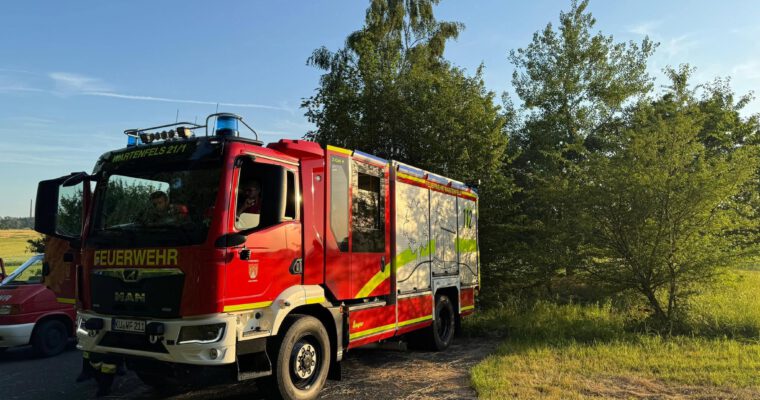 ### Einsatz 08/2026 ###